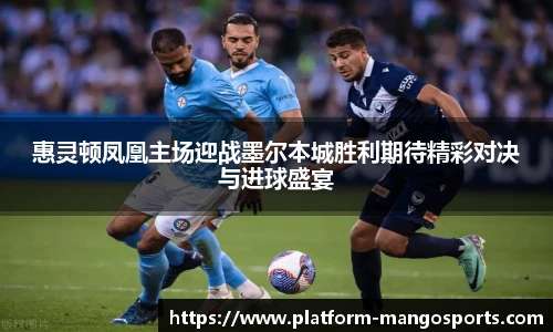 惠灵顿凤凰主场迎战墨尔本城胜利期待精彩对决与进球盛宴